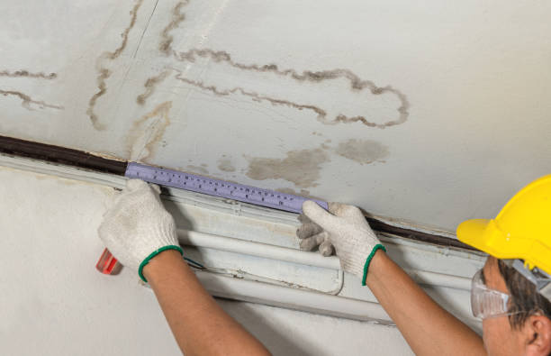 Reliable Sewage Cleanup contractor in Rudolph, WI by Water Damage Irwin
